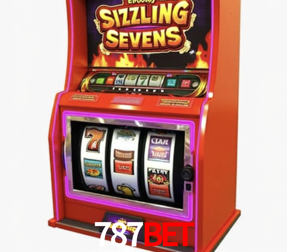 Security Systems 787bet